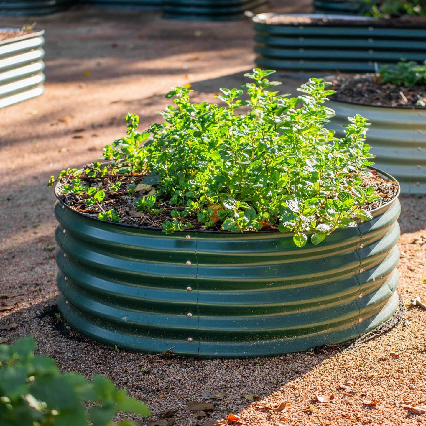 Vego Garden 17" Tall 42" Wide round Metal Raised Garden Bed Kit Heavy Duty Planter Pot for Small Veggie Patches Outdoor Planters